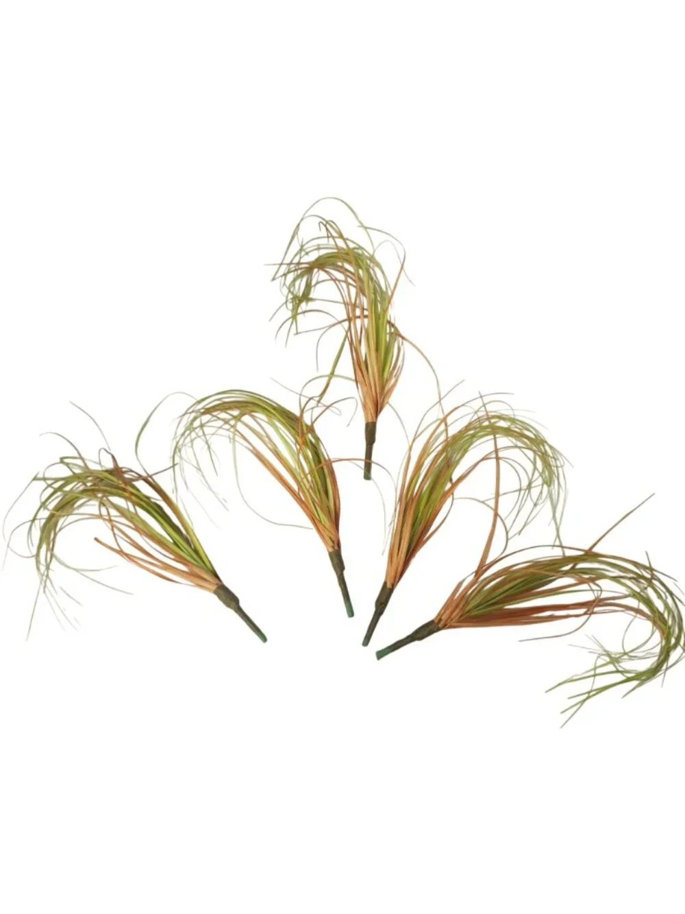 Artificial Grass Picks Set of 5 9 Inch Green Tan Faux Lemongrass Curly Floral Fi